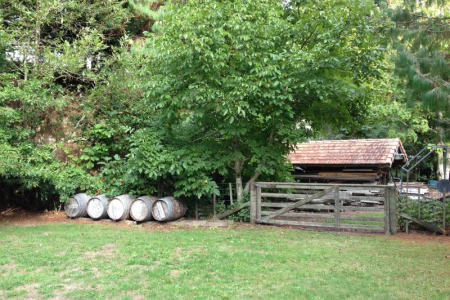 Outlook from Cottage 